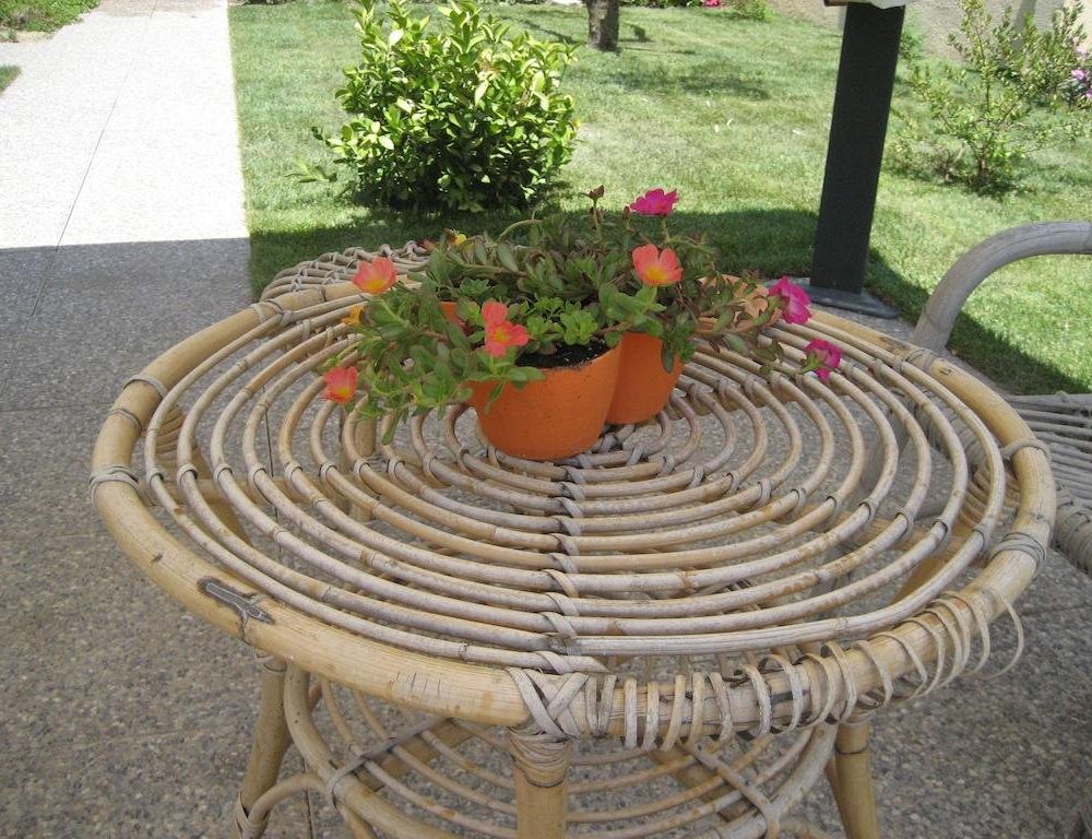 Outdoor Pictures 21