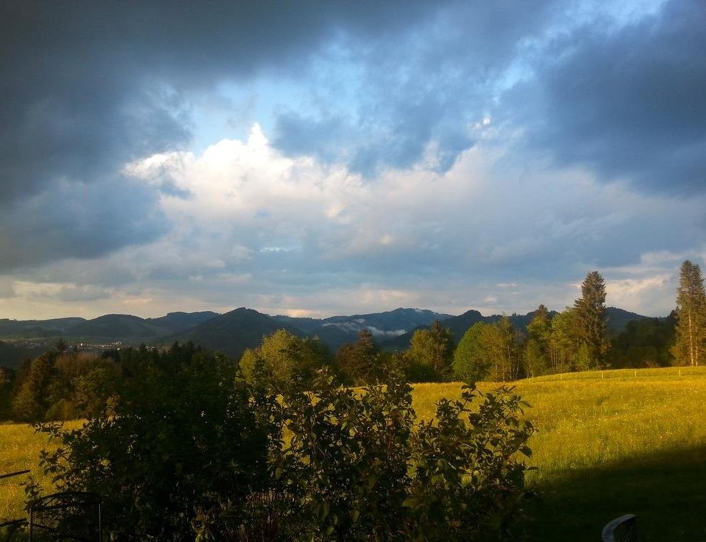 Outdoor Pictures 7