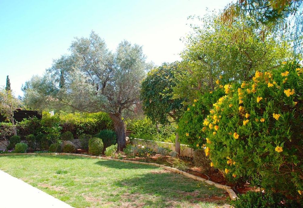 Outdoor Pictures 18