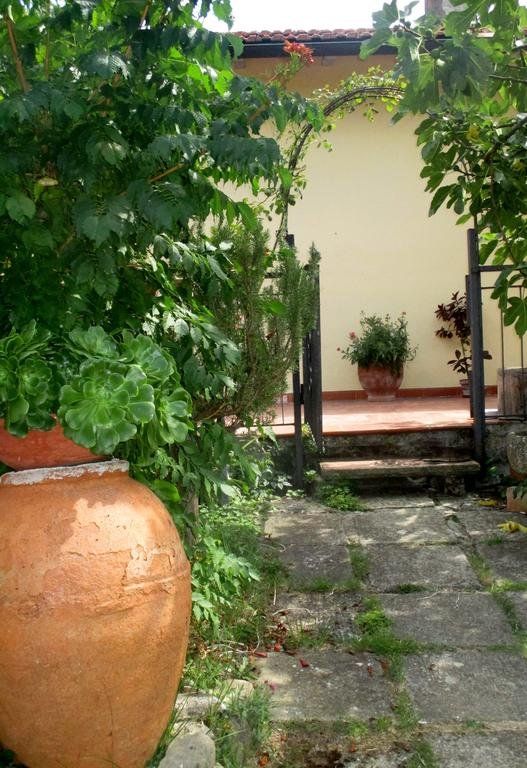 Outdoor Pictures 22