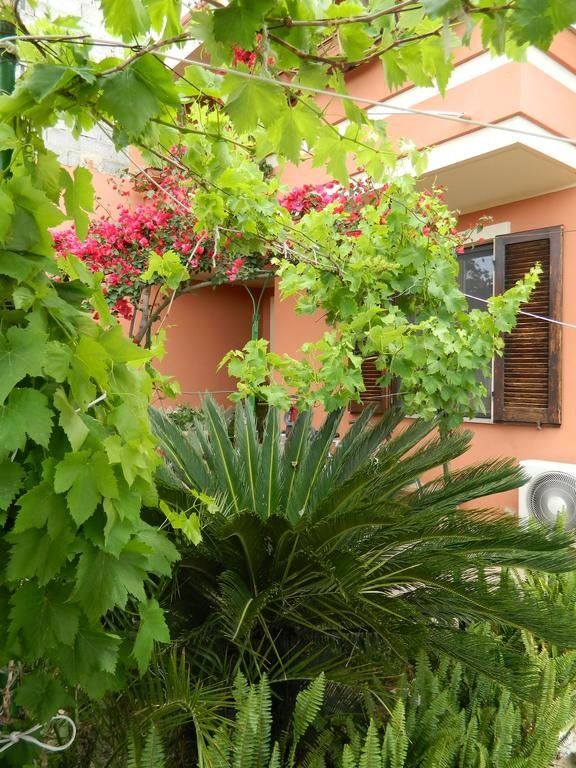 Outdoor Pictures 15