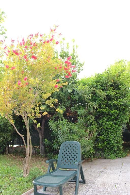 Outdoor Pictures 7