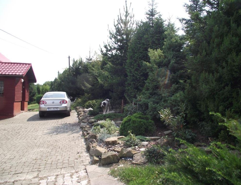 Outdoor Pictures 11