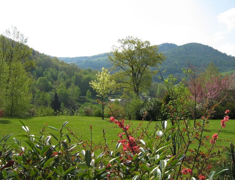 Outdoor Pictures 11
