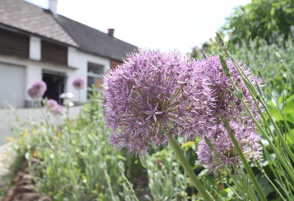 Outdoor Pictures 13