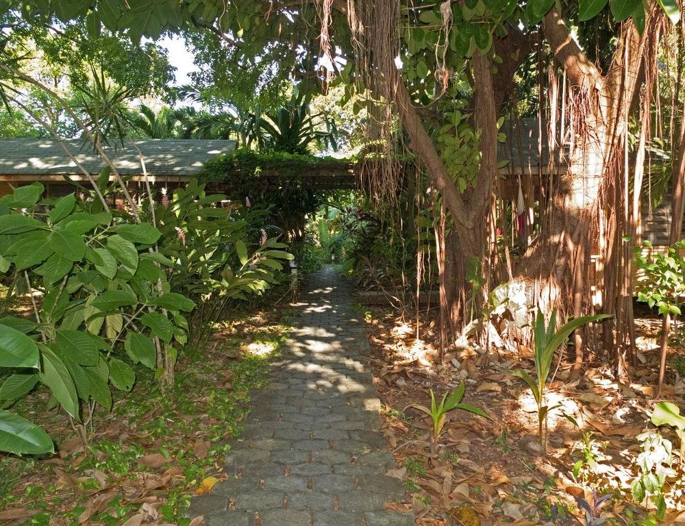 Outdoor Pictures 11