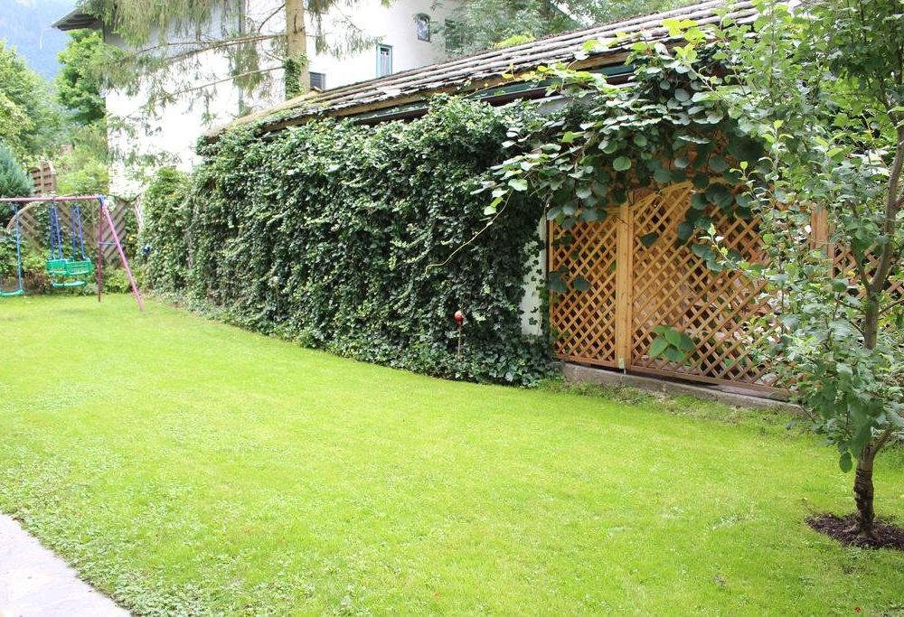 Outdoor Pictures 17