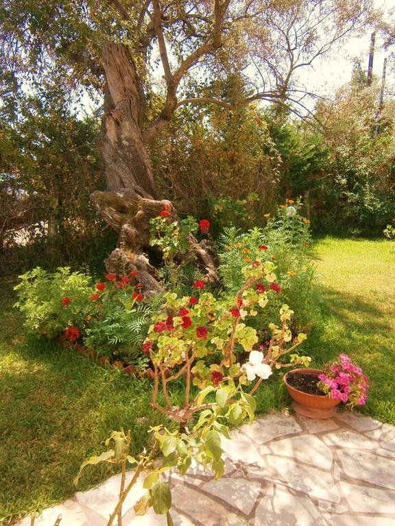 Outdoor Pictures 6
