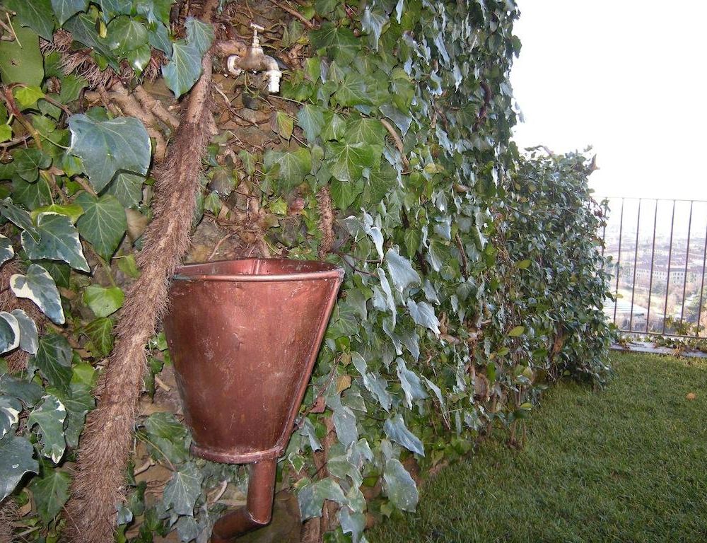 Outdoor Pictures 13