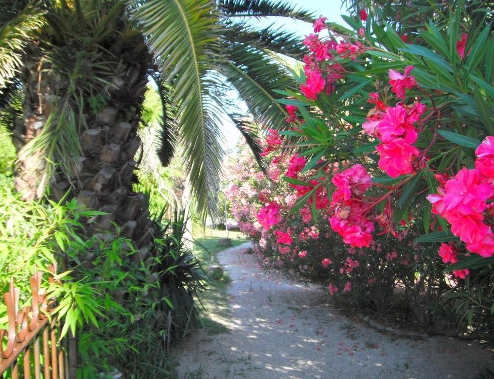 Outdoor Pictures 11