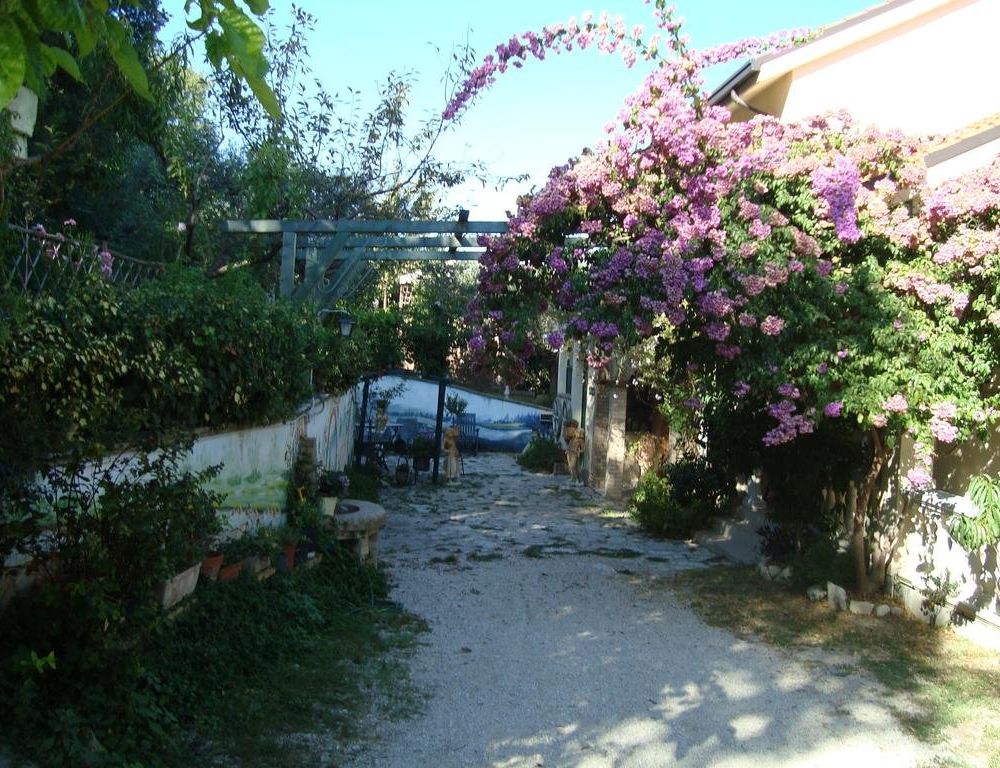 Outdoor Pictures 23