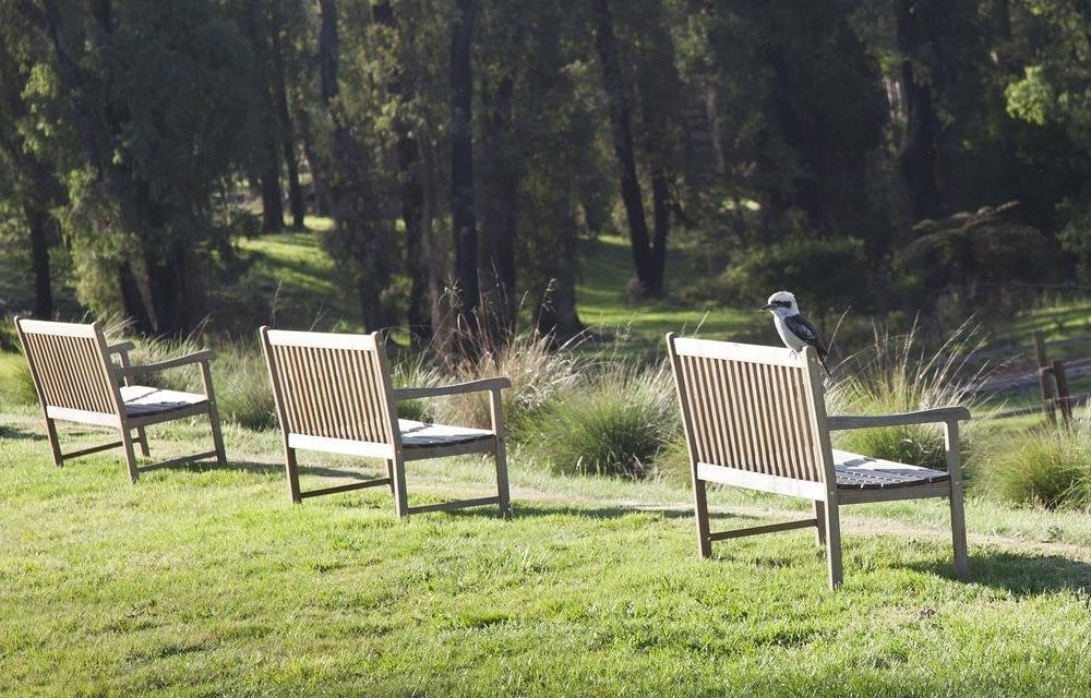 Outdoor Pictures 21