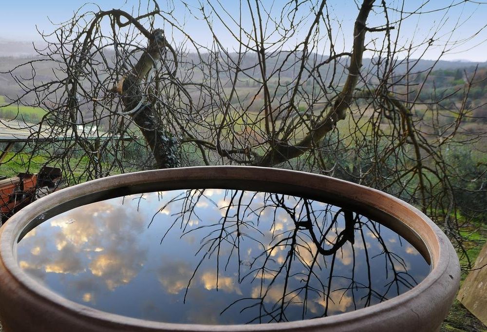 Outdoor Pictures 17