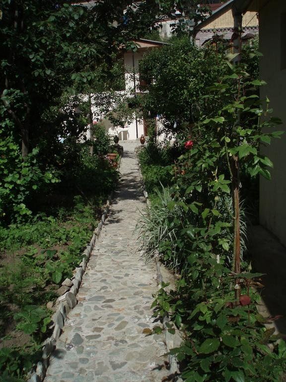 Outdoor Pictures 18