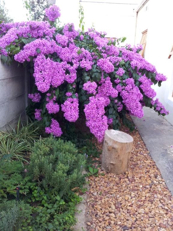 Outdoor Pictures 13