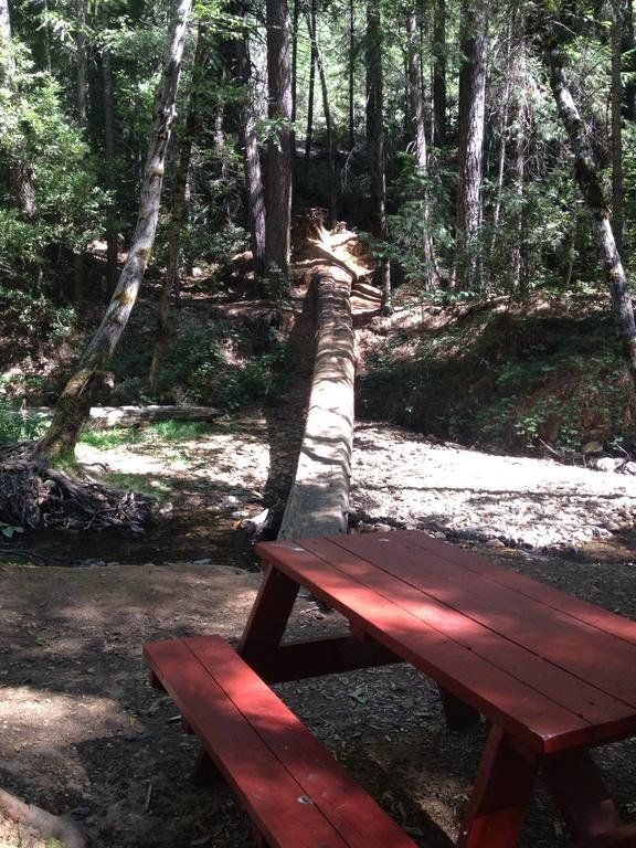 Outdoor Pictures 10