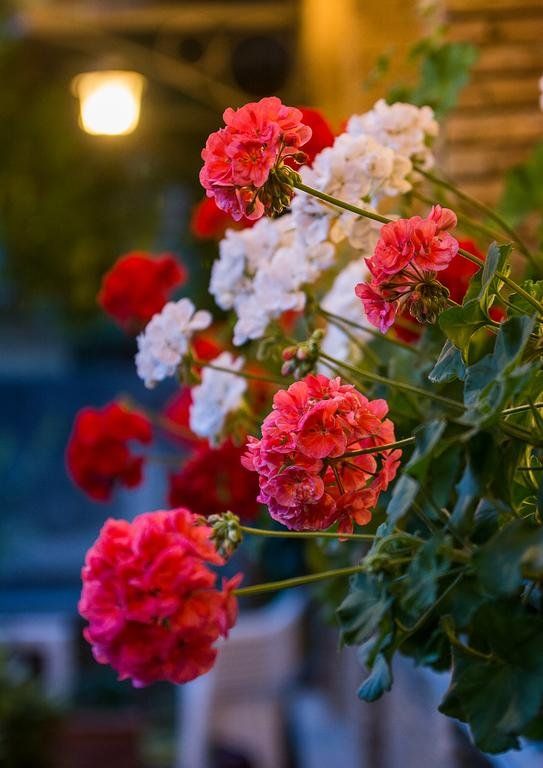 Outdoor Pictures 13