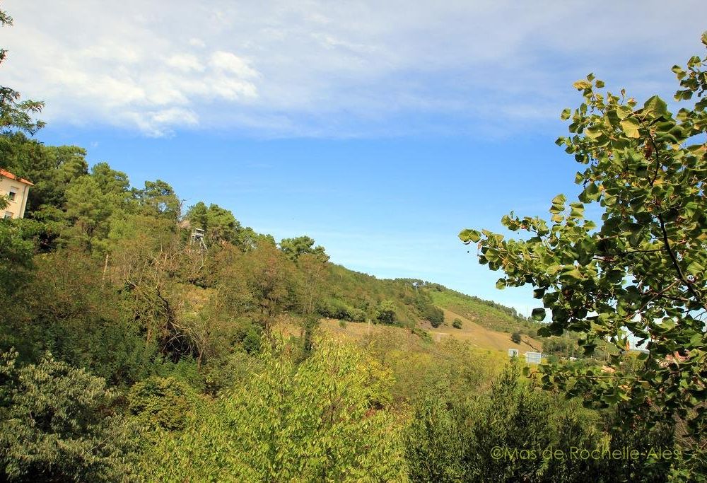 Outdoor Pictures 20