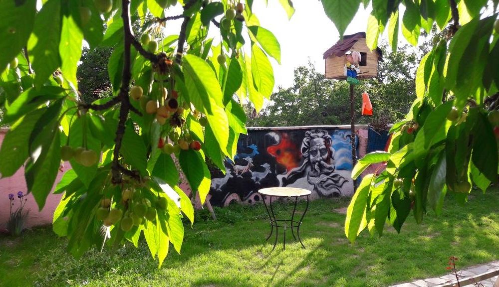 Outdoor Pictures 18