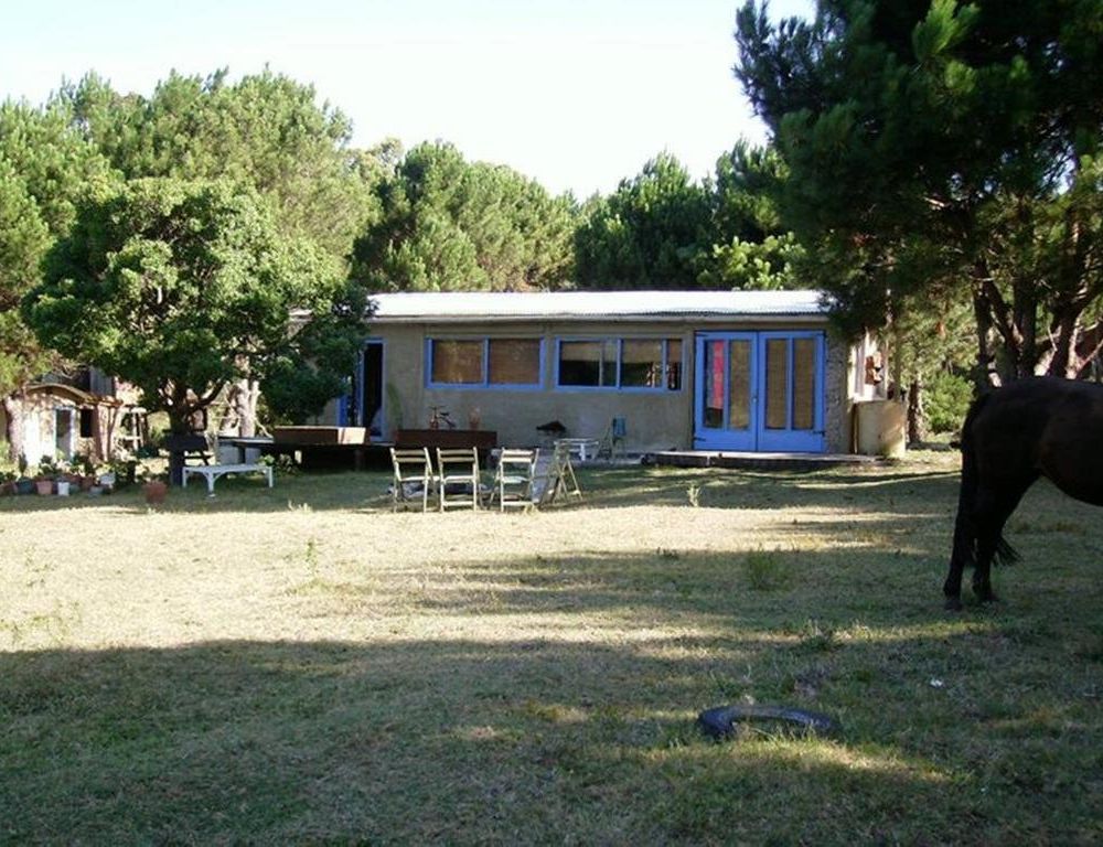 Outdoor Pictures 11