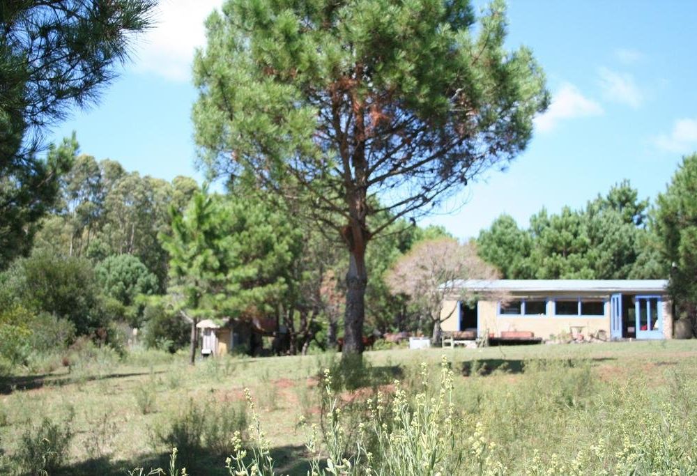 Outdoor Pictures 1