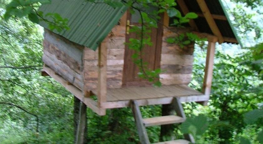 Outdoor Pictures 15