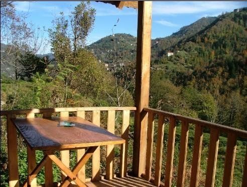 Outdoor Pictures 7