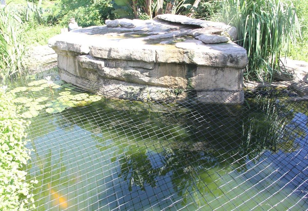 Outdoor Pictures 21
