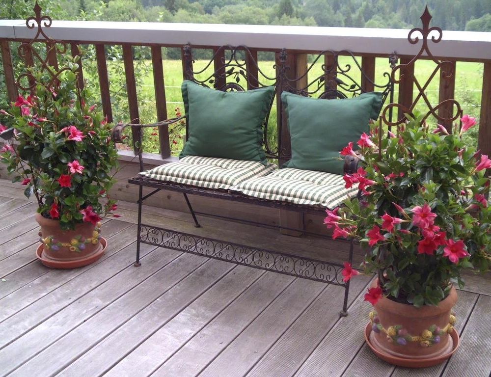 Outdoor Pictures 8