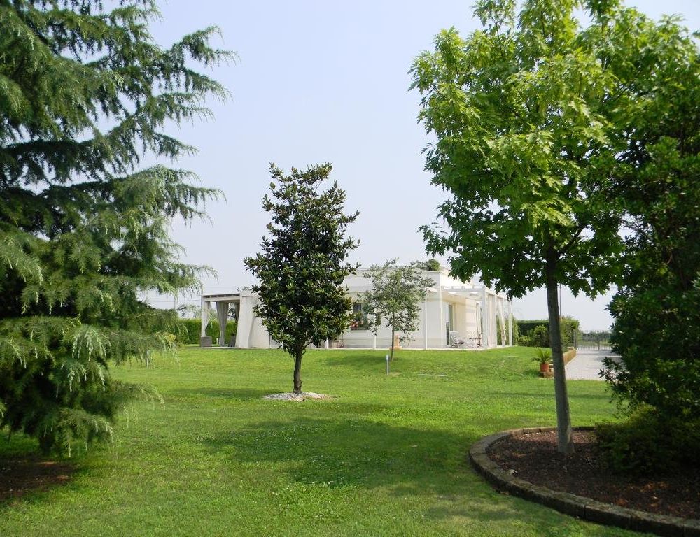 Outdoor Pictures 13