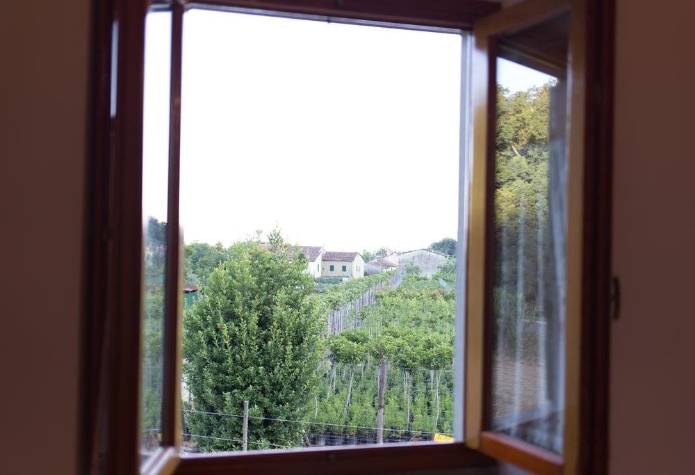 Outdoor Pictures 18
