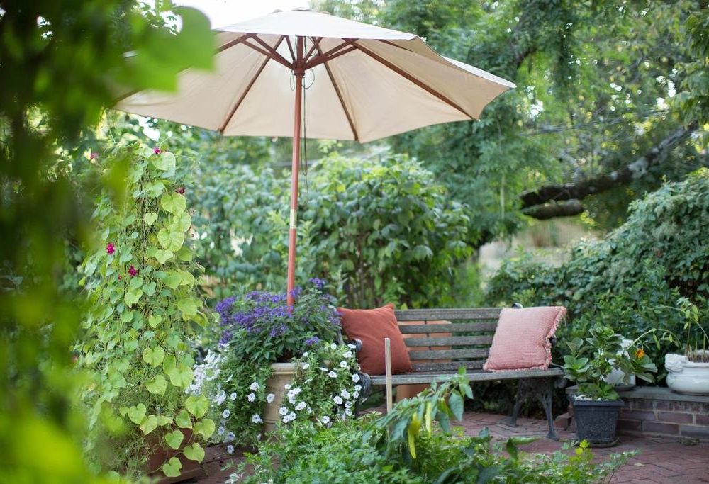 Outdoor Pictures 22