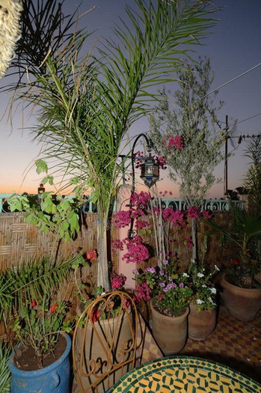 Outdoor Pictures 21