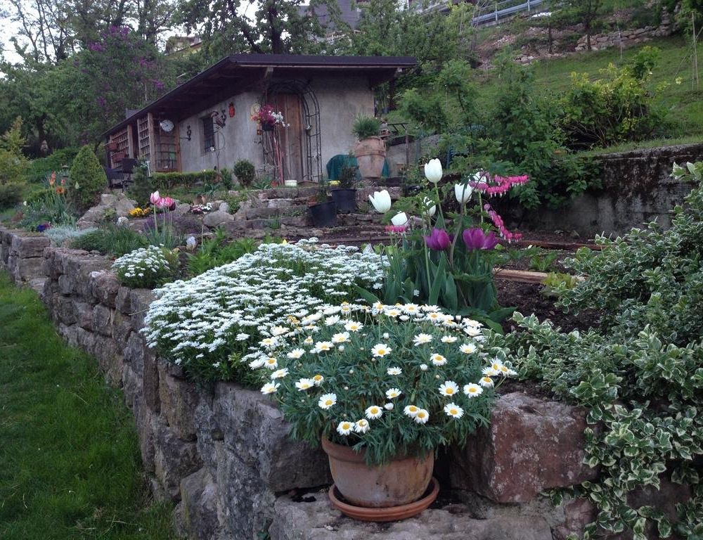 Outdoor Pictures 9