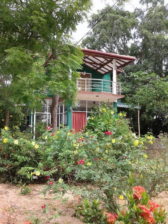 Outdoor Pictures 24