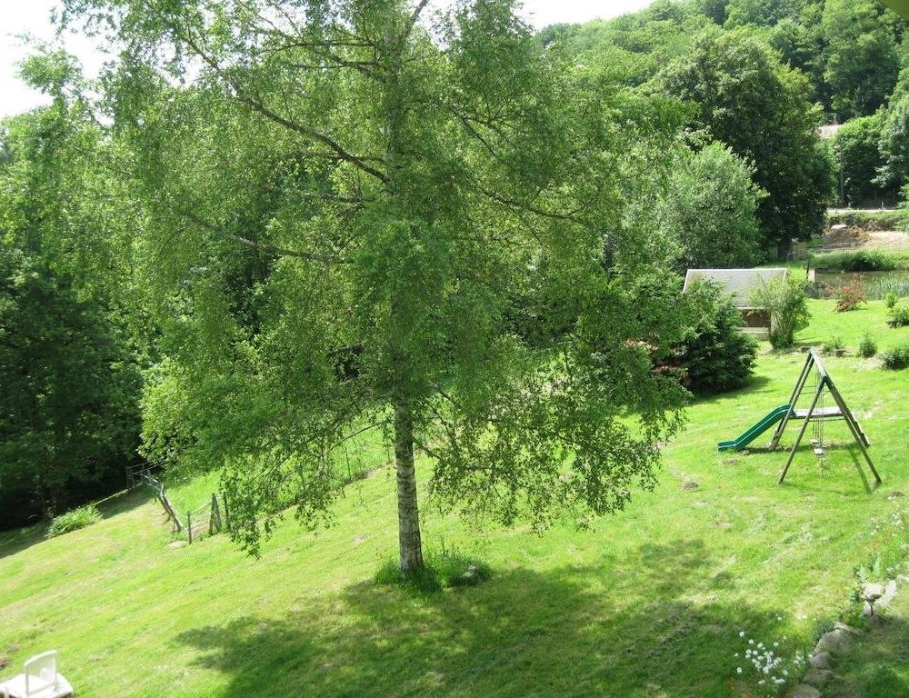 Outdoor Pictures 14
