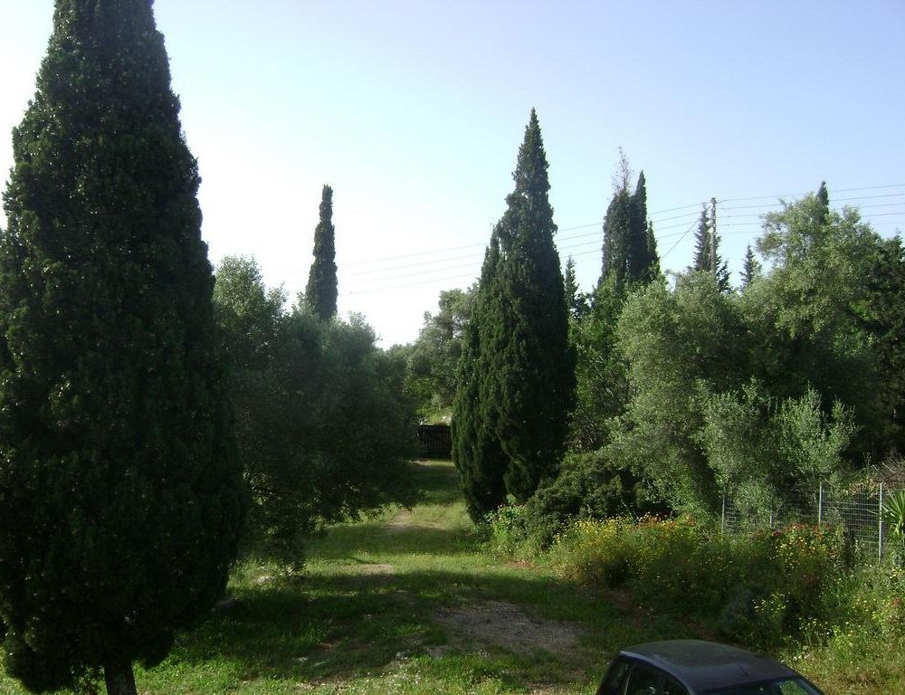 Outdoor Pictures 17
