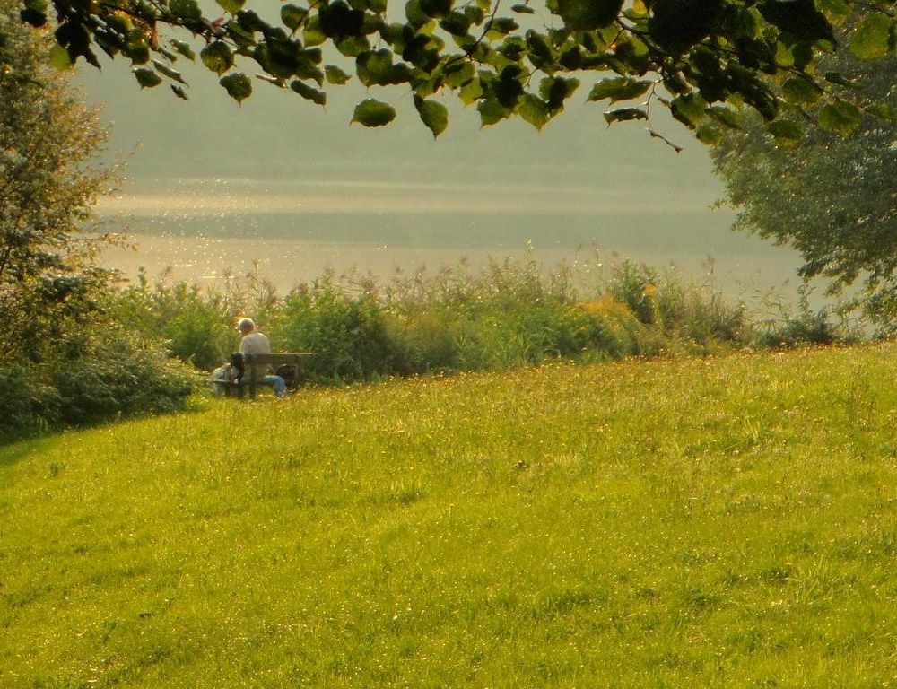 Outdoor Pictures 6