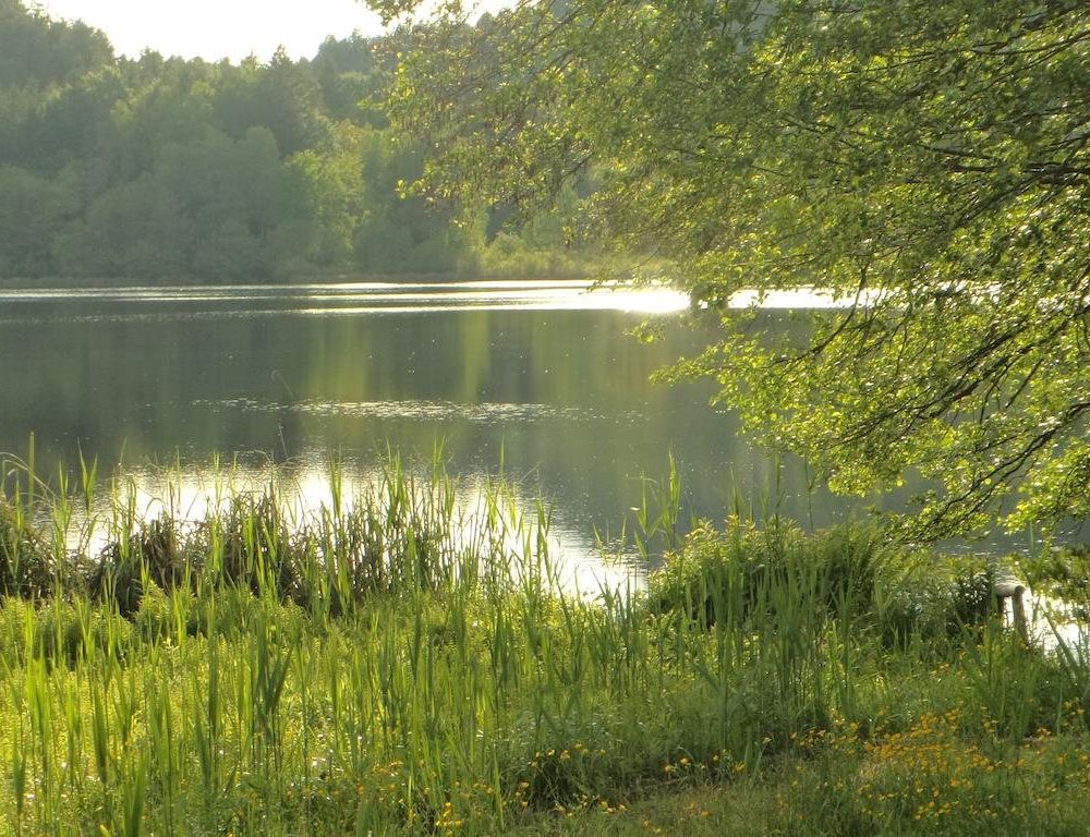 Outdoor Pictures 10
