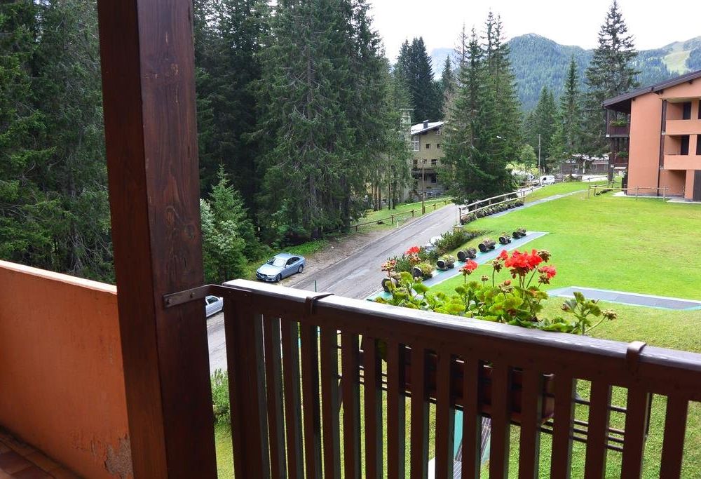 Outdoor Pictures 19