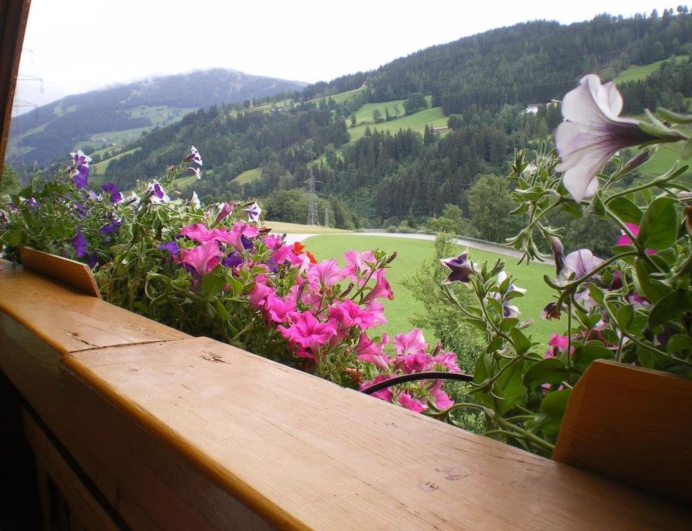 Outdoor Pictures 20