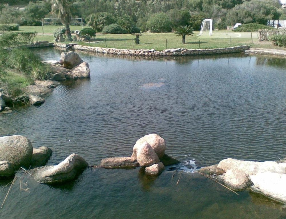 Outdoor Pictures 8