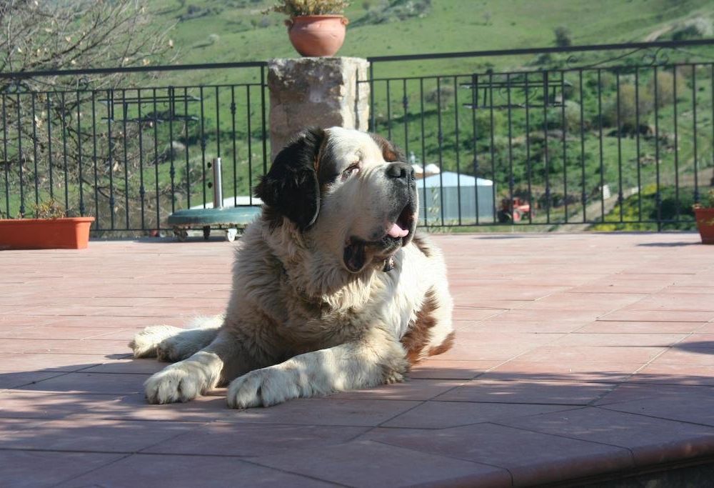 Outdoor Pictures 11