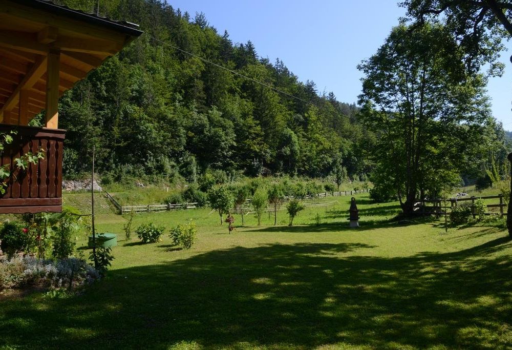 Outdoor Pictures 22