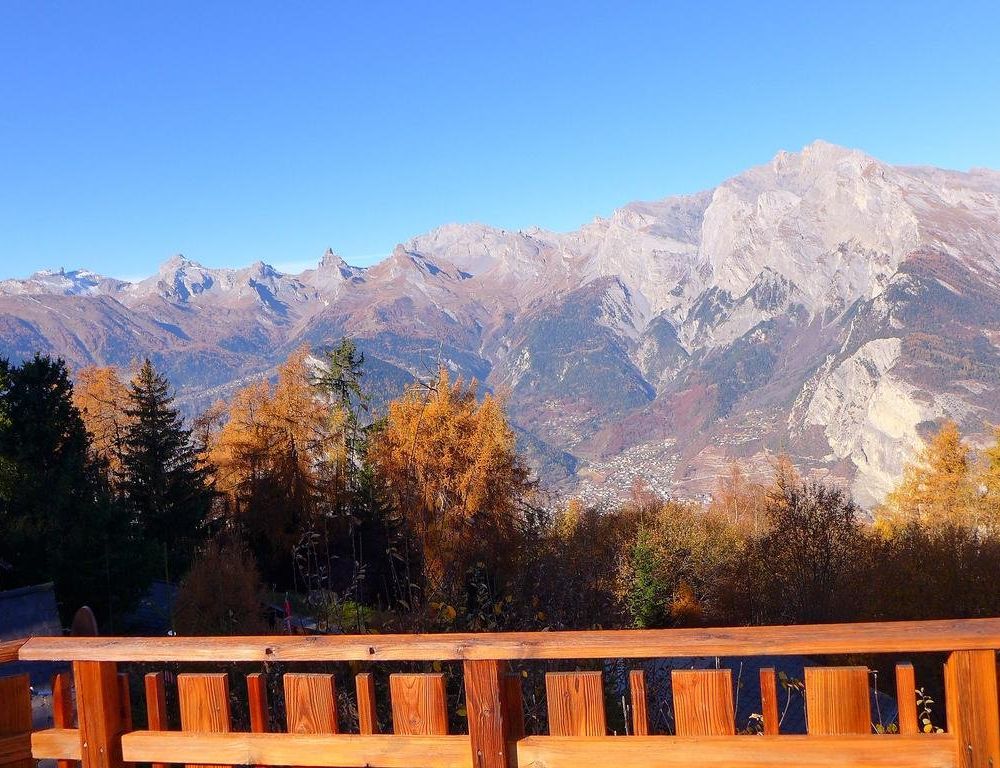 Outdoor Pictures 20