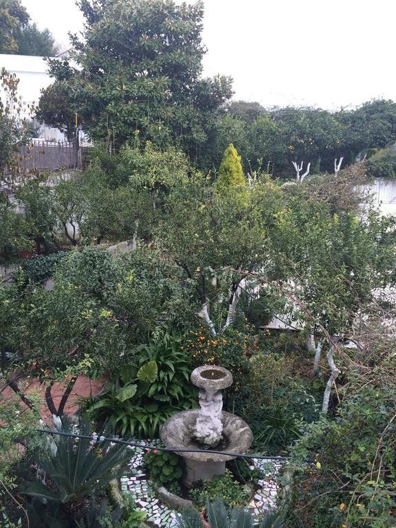 Outdoor Pictures 23