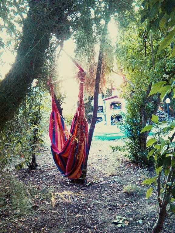 Outdoor Pictures 9