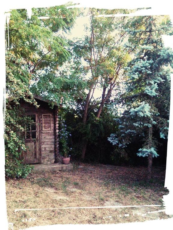Outdoor Pictures 10