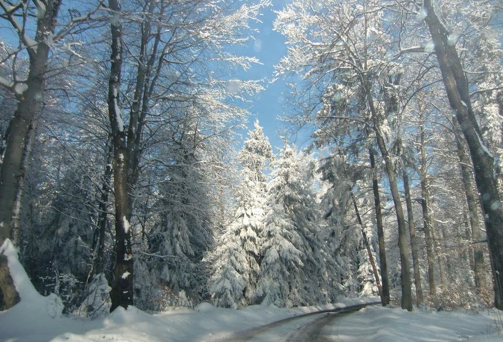 Outdoor Pictures 23