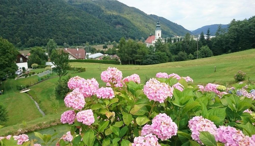 Outdoor Pictures 17